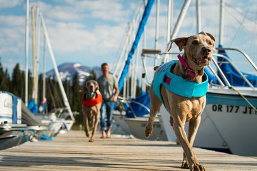 Ruffwear Float Coat Dog Life Jacket - ORANGE Medium